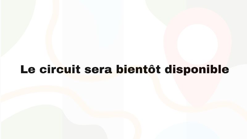 circuit